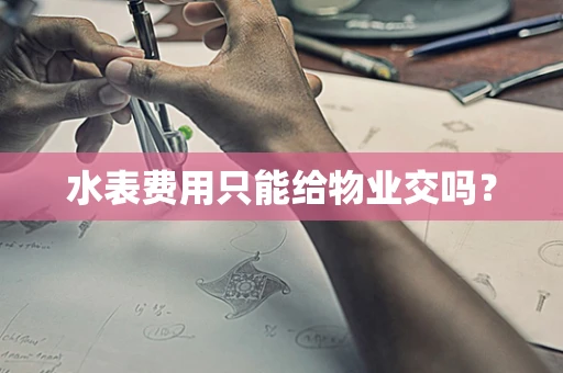 水表费用只能给物业交吗？