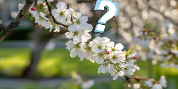 奥德海棠物业正在招聘吗？