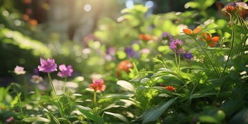 园区物业真的需要侧重改进吗？