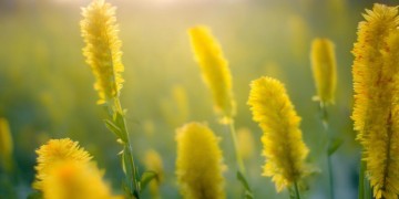 珠海园林花园物业收费吗?